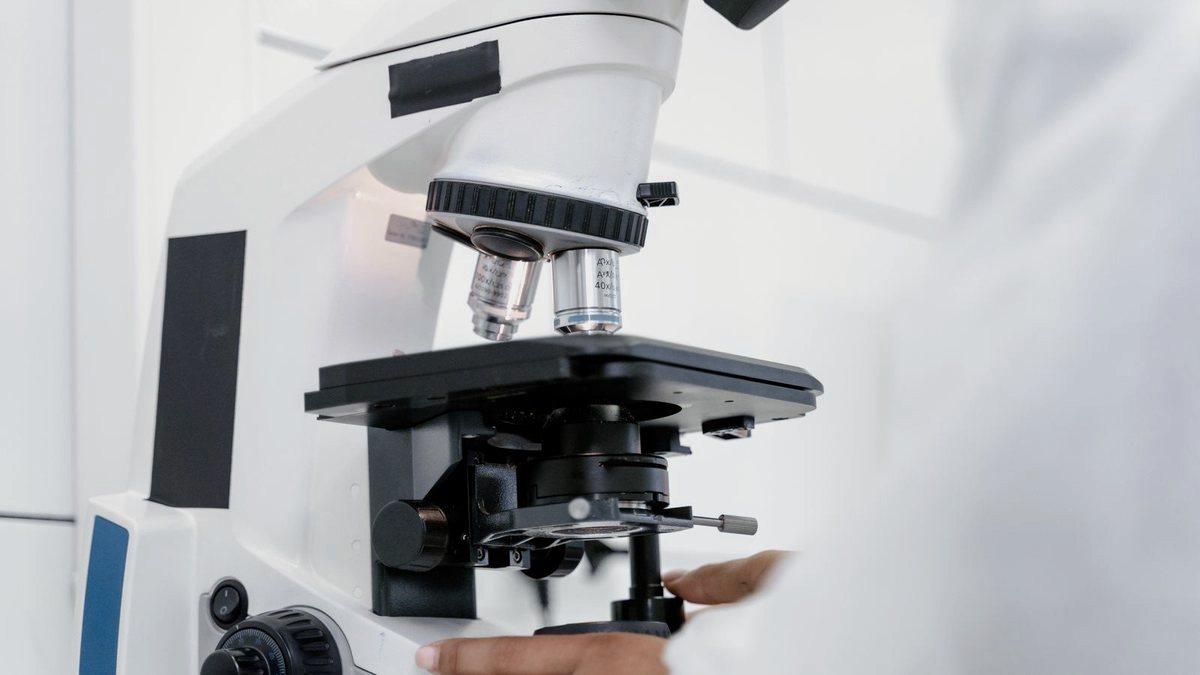 Regenerative Medicine cohort